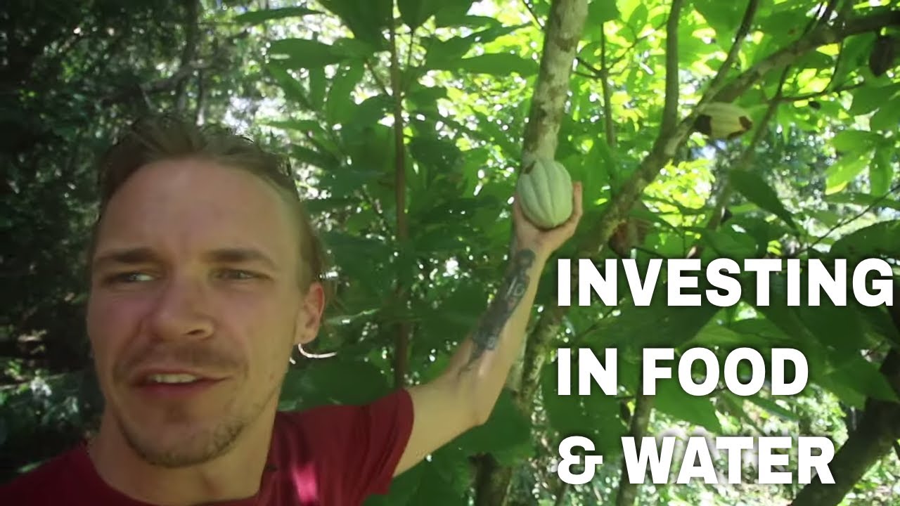 The Arcane Bear of Costa Rica - Costa Rica Story