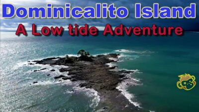 Dominicalito Island Costa Rica Drone video