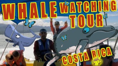Whale watching tour Bahia Costa Rica