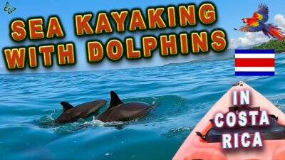 🐬Sea Kayaking with 🐬 Dolphins🐬 in Costa Rica & a visit to Playa Arco🐬