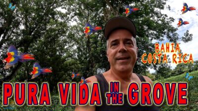 🌳Pura Vida in the Grove-🌳 A special zone where El Rio Uvita meets the sea in Bahia, Costa Rica