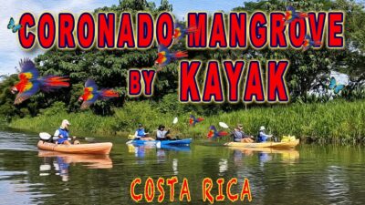 Coronado Mangrove Kayak Aventure Puerto Cortez Costa Rica