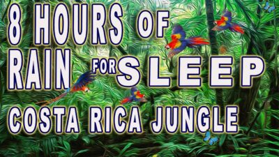 8 hours of rain at night Uvita Costa Rica- help Sleeping, Relaxing & Meditation