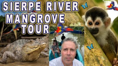 Sierpe River Boat Tour with OSA Mangrove Tour, Costa Rica