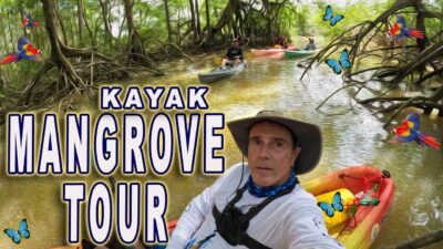 Mangrove tour by Kayak in Coronado Costa Rica