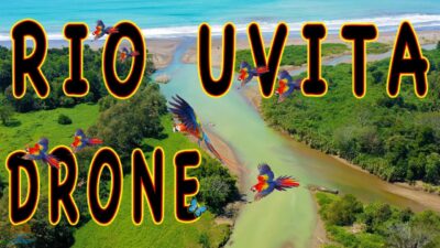 Rio Uvita meets the ocean, a unique estuary & wetland for wildlife – Drone View